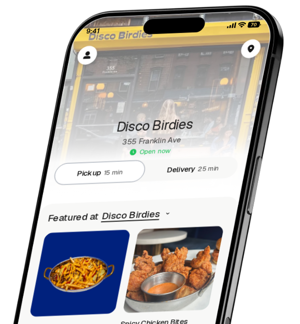 Disco Birdies app preview